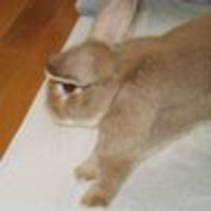 Meet your Posher, Xi